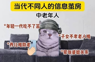 这是一张讽刺当代中老年人信息茧房的 meme 图。画面中心是一只戴着灰色卷发假发（模仿中老年人发型）的猫，正手持智能手机。猫的周围环绕着四句典型的中老年人关注话题文字：“年轻一代吃不了苦”“子女不养老老人难”“养儿难防老”“紧张婆媳关系”。图片顶部有黄色横幅标题“当代不同人的信息茧房”，中间上方标注“中老年人”，背景为灰色沙发，营造居家场景，整体通过拟人化的猫形象和话题文字，幽默呈现中老年人常接触的信息闭环现象。