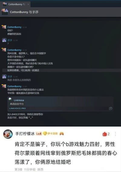 该图由上下两部分拼接而成，上半部分是Steam平台的聊天界面截图：账号CottonBunny主动添加用户“扒手”为好友后，自称是名叫安雅的俄罗斯在华留学生，称想要找中国朋友练习中文、一起玩游戏，随后引导用户进入名为LinkVoice的第三方高清语音平台的指定房间；下半部分是论坛评论区的网友发言，用户“手打柠檬冰”用夸张反讽的语气调侃，称该账号不可能是骗子，玩笑称是被加好友的用户玩游戏魅力太大，隔着网线吸引了俄罗斯女性，还调侃让两人原地结婚，实际是暗指主动加好友的账号属于诈骗账号。