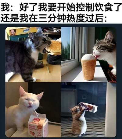 这张梗图通过上下对比的方式，幽默地展现了人们减肥时的常见现象：下定决心控制饮食，但三分钟热度过后就忍不住开始吃各种高热量食物。图片上方配有文字'我：好了我要开始控制饮食了 还是我在三分钟热度过后：'，下方是四张猫咪吃东西的照片，分别是吃汉堡、舔冰淇淋、喝酸奶和喝牛奶，生动形象地表现了人们减肥失败的真实写照。
