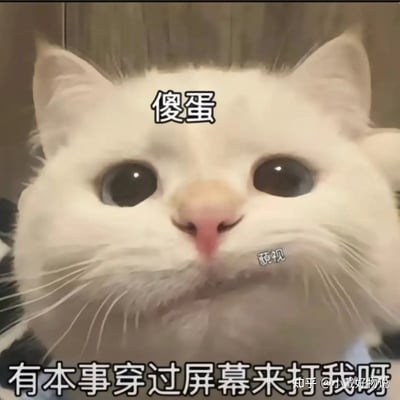 这是一张以猫咪为主角的网络梗图，猫咪出现在画面中央，背景为居家环境。图片下方配有中文黑底白字字幕，营造出一种幽默或搞笑的氛围。这类梗图常用于表达人类生活中的无奈、吐槽或搞笑情境。图片用大面积马赛克遮蔽了中间部分内容，这常用于裁剪遮挡敏感或无关的画面。由于底部出现了“有”字等开头，可能是在模仿或吐槽某种常见说法。
