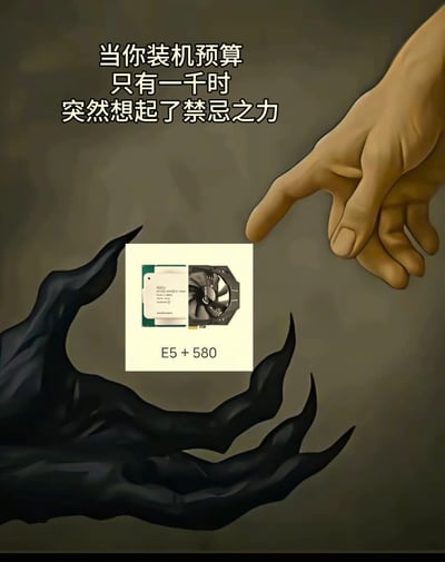 这张梗图恶搞经典艺术名画《创造亚当》，画面中两只手分别来自光明与黑暗。中间配有E5处理器和580显卡，配文“当你装机预算只有一千时，突然想起了禁忌之力”。意思是当电脑装机预算非常有限时，许多人会选择二手、淘汰但性价比极高的“E5+580”组合（俗称“洋垃圾”）方案，形容这是无奈却又广受欢迎的“禁忌”选择。整体画面兼具搞笑与自嘲，也带有网络消费文化的戏谑。 

图中包含网络用语“禁忌之力”，有点中二和戏谑的双关意味。