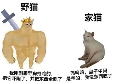 图片为左右对比结构，左侧是被标注为“野猫”的卡通形象：一只拥有夸张肌肉线条的猫，头戴金色皇冠，背后斜插一把长剑，表情得意，下方配文“我刚刚跟野狗抢吃的，把它吓跑了，并把东西全吃了”；右侧是被标注为“家猫”的卡通形象：一只毛色浅白的猫，坐姿委屈，脸上挂着蓝色泪珠，下方配文“呜呜呜，盘子中间是空的，我没东西吃了”。通过强烈的视觉反差和文字对比，幽默展现了野猫“强悍生存”与家猫“娇弱委屈”的形象差异。