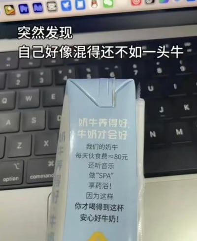 这是一张在Mac键盘前拍摄的牛奶包装盒实拍图，包装盒上印有品牌的宣传文案，介绍自家奶牛的优渥待遇：每天伙食费约80元，还能听音乐、做“SPA”、享药浴，以此产出安心好牛奶。图片上方添加了自嘲文字“突然发现自己好像混得还不如一头牛”，通过对比奶牛的高品质生活和当代打工人的日常，引发自嘲式的共鸣，用搞笑的方式调侃自身生活质量不如养殖的奶牛，图中没有双关、谐音梗或暗示类内容。
