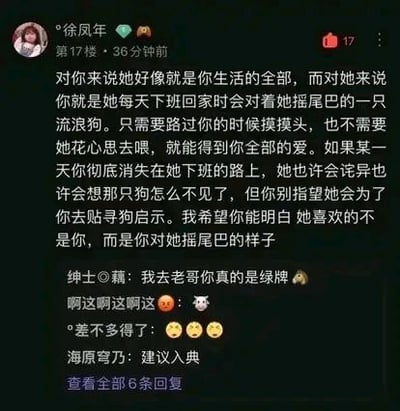 这是一张社交媒体评论截图，用户“徐凤年”在17楼发布评论，以流浪狗摇尾巴的比喻描述单方面付出的情感关系：“对你来说她是生活的全部，对她来说你只是下班路上摇尾巴的流浪狗，她喜欢的是你摇尾巴的样子”。下方有“绅士🍭藕”等用户的回复，内容包括调侃和认同。整体氛围偏向情感吐槽与现实剖析。