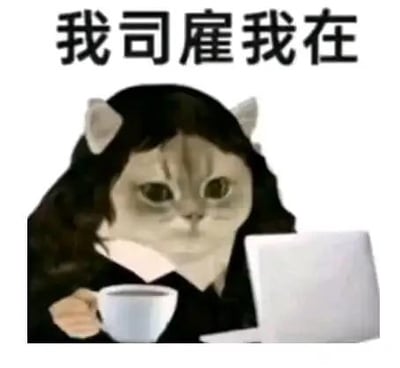 这是一张P图改编的职场类表情包，创作者将真实猫咪的脸与人类上班族的身体合成，猫咪眼神倦怠无神，手持咖啡杯，面前摆放着笔记本电脑，上方配文“我司雇我在”，玩了笛卡尔名言“我思故我在”的谐音梗，精准表达出打工人只是形式上在岗、摸鱼度日的无奈与倦怠，非常贴合当代职场人的摸鱼心态。