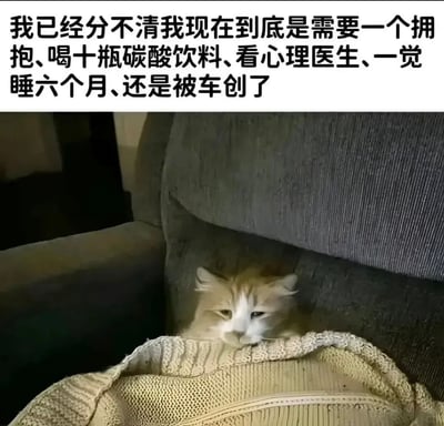 这是一张图文结合的表情包，采用顶部配文下方配图的形式。顶部配文内容为“我已经分不清我现在到底是需要一个拥抱、喝十瓶碳酸饮料、看心理医生、一觉睡六个月、还是被车创了”，用夸张的列举抒发了精神极度疲惫、找不到缓解方式的崩溃情绪；下方配图是一只浅橘白相间的猫咪蔫蔫地窝在沙发缝隙里，眼神涣散没有神采，下巴搭在前方的针织织物边缘，整只猫的状态颓丧疲惫，和配文的情绪高度契合，生动表达了当代人被压力耗竭后的心理状态。