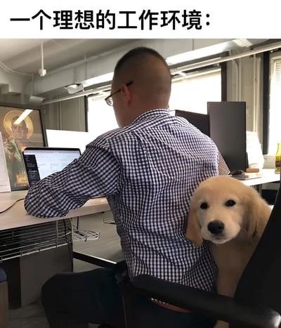 图片展示了一个被称为"理想的工作环境"的场景：一位戴眼镜、穿蓝白格子衬衫的男子正在办公桌前专注工作，他的笔记本电脑屏幕上显示着代码界面。令人会心一笑的是，一只可爱的金毛幼犬正乖巧地依偎在他的椅背上，露出萌萌的脸庞看向镜头。背景中可以看到现代化的办公环境，墙上还挂着一幅带有金色光环人物的装饰画，增添了一丝幽默感。整个画面通过工作场景与萌宠元素的结合，表达了人们对轻松愉悦工作氛围的向往。