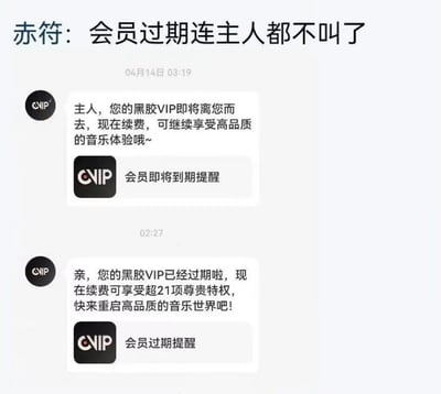 图片展示了一个聊天界面截图，标题为“赤符：会员过期连主人都不叫了”。上方显示日期时间“04月14日 03:19”，包含两条来自“CNIP”的会员提醒消息。第一条消息在会员即将过期时称呼用户为“主人”，内容为“您的黑胶VIP即将离您而去，现在续费，可继续享受高品质的音乐体验哦~”；第二条消息在会员过期后称呼变为“亲”，内容为“您的黑胶VIP已经过期啦，现在续费可享受超21项尊贵特权，快来重启高品质的音乐世界吧！”。通过对比两条消息中称呼从“主人”到“亲”的变化，幽默地讽刺了部分会员服务在用户过期后态度转变的现象。