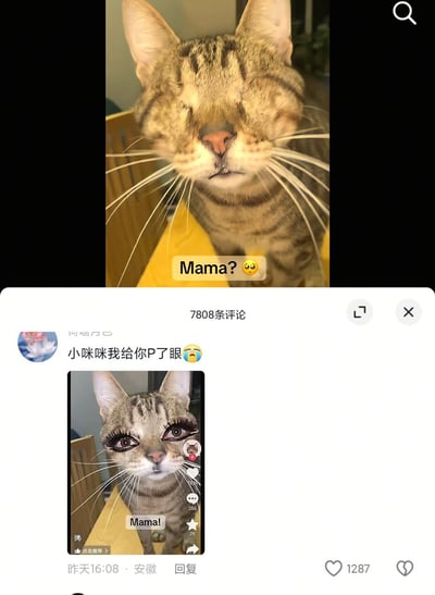 图片展示了一只虎斑猫的前后对比。上图中猫咪眼睛紧闭，表情困惑，配文"Mama?"和一个担忧的表情符号；下图是网友P图后的效果，猫咪被加上了夸张的大眼睛和睫毛，表情变得有神，配文"Mama!"。整体呈现出一种幽默搞笑的对比效果。