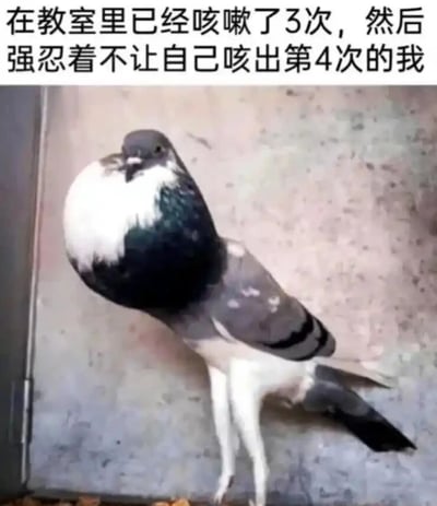 暂无描述