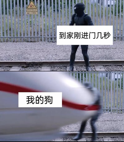 该图为上下对比的搞笑梗图。上半部分显示一名身穿黑色紧身衣、头戴面罩的男子站在铁轨上，背景有金属围栏和警示标志，配文“到家刚进门几秒”；下半部分为一列模糊的火车快速驶过，配文“我的狗”。通过将男子比作刚到家的主人，火车比作迅速行动的狗，用夸张的对比表现宠物迎接主人时的急切和速度，营造幽默效果。
