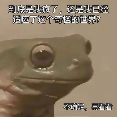 图片中是一只青蛙的特写镜头，它有着又大又圆的眼睛，正侧着头，表情看起来有些困惑和迷茫。图片上方配有文字“到底是我疯了，还是我已经适应了这个奇怪的世界？”，下方则有文字“不确定，再看看”。这张图通过青蛙的疑惑表情和文字内容，幽默地表达了人们面对现实中各种荒诞现象时的迷茫与自我怀疑。