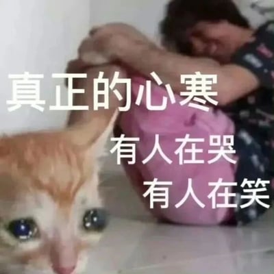 这是一张文字加注的静态图文混排图，画面呈现出强烈的反差感：前景是一只橘色猫咪，它眼睛里噙满泪水，表情委屈又难过，仿佛正在“哭泣”；背景处是一个穿着深色带图案上衣、粉色裤子的人，他抱着双腿蜷缩身体，头埋在膝盖附近，看起来正在发笑。图中配有白色的文字，从上至下依次为“真正的心寒”“有人在哭”“有人在笑”，通过猫咪拟人化的悲伤状态和人物的发笑状态形成鲜明对比，精准地传递出一种自己正遭遇心酸事，旁人却无动于衷甚至开心的委屈、失落情绪，非常适合用来在社交场景中抒发这类被忽视的负面情绪。