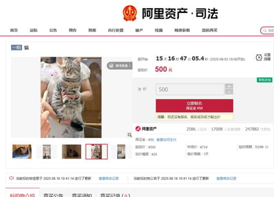 图片展示了阿里资产司法拍卖平台的一个特殊拍卖页面，标的物为一只虎斑猫咪。页面左侧显示猫咪被人用双手抱起的照片，背景为室内环境，另有多张猫咪不同角度的缩略图。右侧为拍卖核心信息：距开拍还有15天16时47分05秒（2025-09-03 10:00开始），起拍价500元，保证金50元，加价幅度20元，竞价周期1天。当前已有2586人报名、17008人设置提醒、247882次围观，热度较高。页面顶部有阿里资产·司法的红色标志及导航栏，底部包含标的物介绍、竞买公告等标签页。