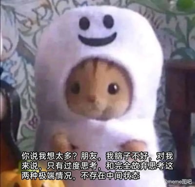 这是一张基于森贝儿家族角色改编的网络meme图，图中的拟人化小动物被包裹在带有笑脸图案的白色外套中，眼神懵懂无辜，双手抬起，神态软萌。图下方的配文以自嘲的语气调侃自己的思考状态：只有过度思考和完全放弃思考这两种极端情况，不存在中间状态，精准描绘出一部分人无法平衡思考程度的情绪困境，用软萌的角色与扎心的自嘲内容形成反差，容易引发网友的情感共鸣，适合用来表达自己在思考状态上的极端化困扰。