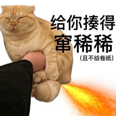 这张梗图是一只表情淡定的橘猫，被人用手从后方抱着。猫咪的臀部被P上了喷火特效，并配以夸张大字“给你接得宛稀稀（且不给卷纸）”。这张图用幽默的方式调侃了上厕所“拉稀”时的窘境，通过猫咪喷火的夸张表现，把“宛稀稀”玩成四川话谐音梗。整体充满网络鬼畜和恶趣味搞笑感。“宛稀稀”为四川话，形容稀饭、粑粑很稀，结合“不给纸”制造二重笑点。