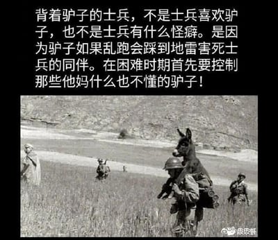 一张黑白历史照片，展示了一名士兵背着驴子在田野中行走，周围还有其他士兵。图片上方配有文字解释这一场景：'背着驴子的士兵，不是士兵喜欢驴子，也不是士兵有什么怪癖。是因为驴子如果乱跑会踩到地雷害死士兵的同伴。在困难时期首先要控制那些他妈什么也不懂的驴子！' 这张图片通过历史场景隐喻现实中需要控制那些可能带来危险的无知个体或因素。