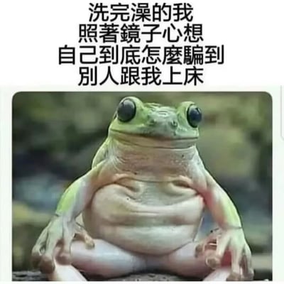 这是一张幽默自嘲风格的梗图，上方配有文字"洗完澡的我 照著镜子心想 自己到底怎麼騙到 别人跟我上床"，下方是一只青蛙以人类坐姿盘腿而坐，表情看起来有些疑惑和自我审视。图片通过将人类的自我怀疑情绪投射到青蛙身上，形成一种荒诞又搞笑的反差效果，表达了人们在某些时刻对自身魅力的怀疑和自嘲。