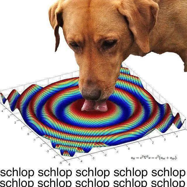 狗