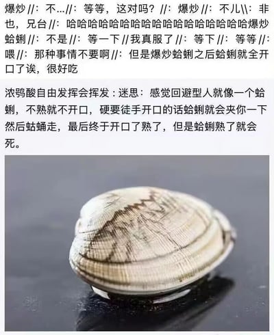 图片上半部分是一段关于“爆炒蛤蜊”的趣味对话，包含“等等，这对吗？”“我真服了”“那种事情不要啊”等口语化交流，最后提到“爆炒蛤蜊之后蛤蜊就全开口了诶，很好吃”。下半部分是一段核心比喻文字：“感觉回避型人就像一个蛤蜊，不熟就不开口，硬要徒手开口的话蛤蜊就会夹你一下然后蛄蛹走，最后终于开口了熟了，但是蛤蜊熟了就会死。”最下方配有一张特写照片，展示一个闭合的蛤蜊，外壳带有自然纹路，整体构图为文字在上、实物图在下的图文混排形式，通过蛤蜊的特性幽默比喻回避型人格的社交特点。