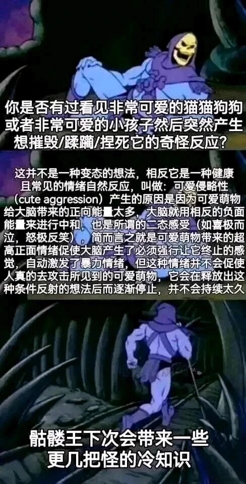 骷髅王