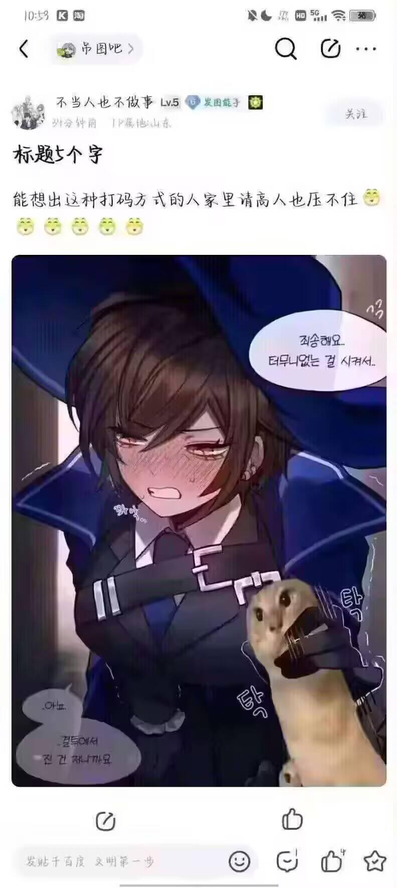 猫头鹰