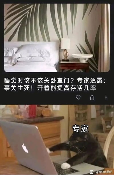 这是一张上下拼接的搞笑梗图，上半部分是带有卧室场景的社交媒体截图，配文以标题党风格抛出“睡觉时该不该关卧室门”的问题，并称专家透露开着门能提高存活几率，语气夸张；下半部分是一只黑白猫咪趴在笔记本电脑前，被标注为“专家”，用拟人化的方式调侃这类看似危言耸听、由所谓“专家”提出的生活建议，通过制造反差来达到搞笑效果，讽刺了网络上常见的标题党式专家言论。