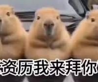 老资历