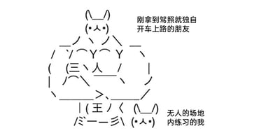这是一张采用字符画风格的网络搞笑梗图，通过两个由汉字笔画和符号组成的卡通猫形象，对比展现了刚拿到驾照的新手司机的两种不同状态：上方的猫对应“刚拿到驾照就独自开车上路的朋友”，其字符造型舒展，同时暗藏“三八”的字样，用来调侃这类新手莽撞大胆的心态；下方的猫对应“无人的场地内练习的我”，造型蜷缩拘谨，字符中暗藏“王八”的字样，调侃自己谨慎胆小、不敢贸然上路的心态。图中用谐音梗和形象的反差，放大了新手司机的不同心态，画面为黑白字符画，风格接地气，容易引发新手司机的共鸣。