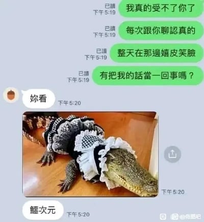 这是一张聊天记录截图，绿色气泡的吐槽者正在向对方表达强烈不满，连续发送四条消息指责对方：每次进行认真对话时，对方都嬉皮笑脸，完全没有把自己的话放在心上，情绪十分激动。被吐槽的一方没有正面回应吐槽者的怒火，而是先发送了“妳看”，紧接着发出一张穿着带有蕾丝花边的黑白女仆装的鳄鱼图片，最后发送文字“鱷次元”，利用“鱷”与“二”的发音相近，玩了“二次元”的谐音梗，用这种无厘头、搞笑的方式转移话题，将原本严肃的吐槽场景瞬间变得滑稽有趣，形成强烈的反差感，达到了化解负面情绪的搞笑效果。