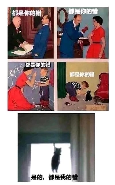这是一组由五张图组成的连环图，构建了一个层层推诿责任的荒诞搞笑逻辑链条：第一张图中，穿黑色正装的男子愤怒地对着穿蓝色西装的男子指责“都是你的错”；第二张图里，被指责的蓝西装男子转头将同样的指责抛给了穿红裙的女士；第三张图中，红裙女士又把这句话甩给了面前的小男孩；第四张图里，小男孩对着地上弄翻了东西的黑猫，说出了“都是你的错”；第五张图中，黑猫独自站在窗口，配文“是的，都是我的错”。这组图用这种层层甩锅到最弱势对象的荒诞情节，讽刺了现实中部分人不愿承担自身责任，只会将过错推给更弱小、无法反驳的对象的行为，充满了讽刺幽默的效果。