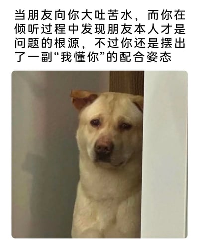 这是一张贴合日常社交场景的趣味表情包，上方配文精准描述了人际交往中的一个常见时刻：当朋友向自己倾诉烦恼，自己在倾听时意识到朋友本人才是问题的根源，但出于社交礼仪和情谊，还是要表现出共情、理解的姿态。下方的浅黄色狗狗从门后探出头，眼神忧郁又无奈，完美契合了这种心里清楚真相却不得不配合共情的复杂、无奈的情绪，生动地将人们在这种场景下的真实心境具象化，容易引发网友的共鸣。