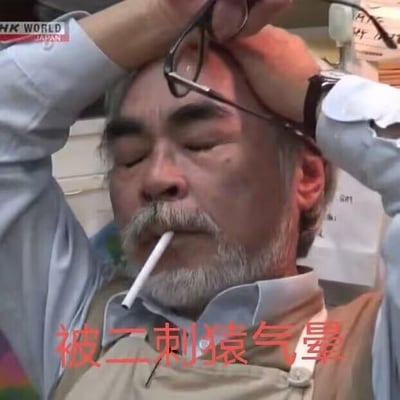 图中是日本知名动画导演宫崎骏，他双手扶着额头，嘴里叼着烟，脸上露出烦躁、疲惫又无奈的神情，画面下方配有红色文字“被二刺猿气晕”。这是一张网友改编的梗图，用宫崎骏烦躁的状态来表达在二次元相关事务中遇到糟心事时的崩溃情绪，其中“二刺猿”是“二次元”的谐音梗，是网友对二次元文化的调侃式称呼。