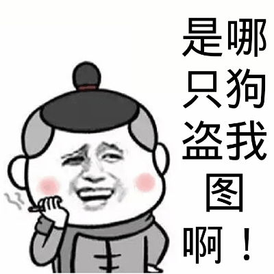 图片左侧是一个卡通老者形象，梳着黑色发髻，两侧有灰色头发，身穿灰色中式上衣，右手捂嘴，脸颊泛红，表情愤怒又带点委屈。右侧有竖排文字：'是哪只狗盗我图啊！'，整体风格为搞笑表情包，用于表达对他人盗用自己图片的愤怒和质问情绪。