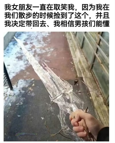 图片上方配有文字：“我女朋友一直在取笑我，因为我在我们散步的时候捡到了这个，并且我决定带回去、我相信男孩们能懂”。下方是一张实拍图，一只手握着一根形似古代宝剑的冰棱，冰棱细长透明，表面有自然形成的不规则纹理，还夹杂着几根细小的枯枝，背景是潮湿的地面和木质围栏，地面上有积水和污渍，推测是雨后或融雪后的户外场景。这张图通过生活化的场景，幽默地展现了许多男生对“武器”类物品（即使是冰棱、树枝等）的天然兴趣和收藏欲，引发男性网友的强烈共鸣，属于轻松搞笑的日常观察类梗图。