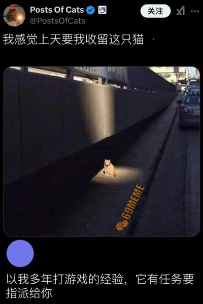 这是一张结合宠物与游戏梗的搞笑社交媒体梗图。图中上方是推特（X）账号@PostsOfCats发布的内容，配文为“我感觉上天要我收留这只猫”，附带的照片里，一只猫咪坐在路边的阴影区域中，唯独它所在的位置被一束阳光精准照亮，仿佛被“圣光”选中；下方是网友的评论：“以我多年打游戏的经验，它有任务要指派给你”。该梗图将游戏里的经典场景——被特殊光芒标记的NPC会向玩家发布任务，与现实中的猫咪结合，通过脑洞大开的联想制造出搞笑反差，调侃这只猫咪如同游戏里派发任务的NPC，让普通的宠物画面充满趣味。