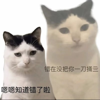 图片中有两只黑白相间的猫，左侧猫咪表情略带愧疚，下方配有文字“嗯嗯知道错了啦”；右侧猫咪体型稍大，表情严肃不悦，旁边配有文字“错在没把你一刀捅三”。整体通过猫咪的表情和对话营造出一种幽默的日常吐槽场景，展现了类似人类朋友间拌嘴又带点戏谑的道歉氛围。