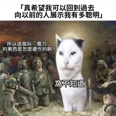 这张梗图通过幽默的方式讽刺了那些自认为聪明却对基础知识一无所知的人。图片上方文字写着"真希望我可以回到過去向以前的人展示我有多聰明"，表达了一种想要向过去的人炫耀自己智慧的愿望。然而，中间的大型猫脸形象却回应"窩不知道"，形成了鲜明的反差和喜剧效果。背景是一幅古典风格的画作，描绘了各种历史人物（包括士兵、骑士等）仰望并崇拜这只猫，增强了讽刺意味。
