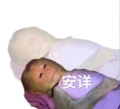 这张梗图展示了一只神态安详、眼神半眯的猴子，躺在一个白色玩偶旁边，画面上叠加了醒目的“安详”文字，用来具象化“活人微死”的网络热词状态——看似平静躺平，实则是当代人面对生活压力时，提不起劲、只想摆烂的疲惫情绪的体现，用幽默的方式调侃这种倦怠的日常状态。