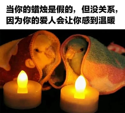 图片上方配有文字“当你的蜡烛是假的， 但没关系，因为你的爱人会让你感到温暖”。下方是两只小鸟被彩色毛巾包裹着依偎在一起的画面，前方摆放着两根点燃的黄色假蜡烛。整体场景温馨治愈，通过假蜡烛与爱人带来的温暖对比，传递出情感关怀胜过物质的暖心主题。画面中，小鸟眼神温顺，毛巾颜色柔和，营造出舒适安心的氛围。