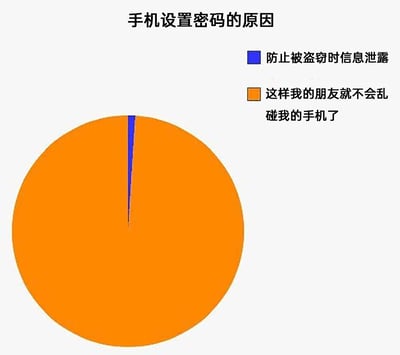 这是一张以饼状图形式呈现的“手机设置密码的原因”统计图表，整体为静态单图，图文结合。图表标题位于顶部，右侧是两类原因的图例说明，蓝色代表“防止被盗窃时信息泄露”，橙色代表“这样我的朋友就不会乱碰我的手机了”。饼图中橙色部分占据了几乎全部的区域，蓝色部分仅为极窄的一条，清晰地展现出在参与统计的群体中，绝大多数人设置手机密码的核心原因是避免朋友乱碰自己的手机，防范盗窃信息泄露的需求占比极低，带有一定的趣味调侃性质，反映了日常社交场景中人们对手机隐私的关注点。