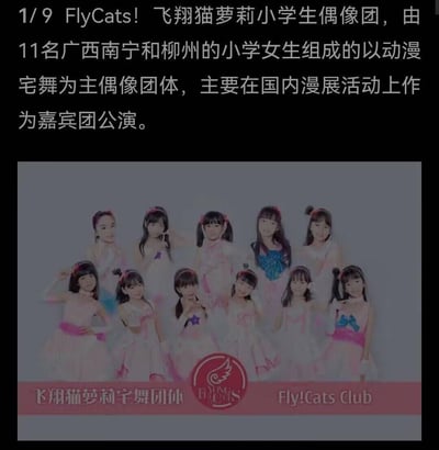 这是一张介绍FlyCats!飞翔猫萝莉小学生偶像团的宣传图，上方文字说明该团体由11名来自广西南宁和柳州的小学女生组成，主打动漫宅舞表演，主要在国内各类漫展中作为嘉宾团体进行公演；下方是11名团体成员的合照，成员们身着粉系可爱演出服，面对镜头摆出不同的甜美姿势，整体风格软萌可爱，面向二次元漫展受众。