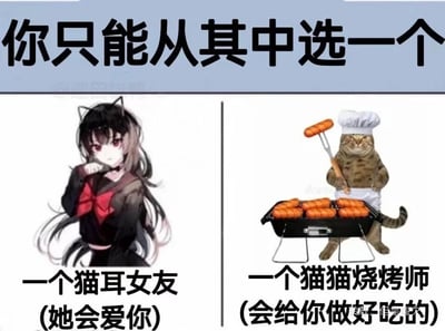 这是一张左右分栏的趣味选择类网络梗图，顶部配有醒目的黑色大字“你只能从其中选一个”，制造出选择困境。左侧展示的是一位拥有黑色长发、猫耳的二次元少女，她眼神柔和，手放在下巴处，姿态娇俏，下方标注文字“一个猫耳女友(她会爱你)”，代表着浪漫的陪伴与爱意；右侧是一只被拟人化的猫咪，戴着白色厨师帽、围着白色围裙，面无表情地站在烧烤架后，手持烤夹举着烤肠，正在进行烧烤操作，下方标注文字“一个猫猫烧烤师(会给你做好吃的)”，代表着美食的诱惑与贴心的照料。整张图通过结合二次元萌系人设与动物拟人化的趣味创作，构建了一个让网友难以抉择的甜蜜命题，引发大家对于浪漫陪伴和美食享受的讨论，是非常受欢迎的互动类网络内容。