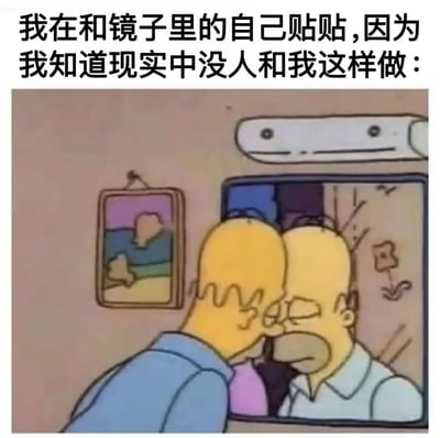 该梗图由《辛普森一家》动画截图与顶部文字组合而成。画面中荷马·辛普森正将额头贴在镜子上，与镜中的自己近距离对视，配合文字“我在和镜子里的自己贴贴，因为我知道现实中没人和我这样做：”，以自嘲的方式幽默表达孤独情绪。通过卡通角色的夸张行为与直白文字形成反差萌，引发共鸣。