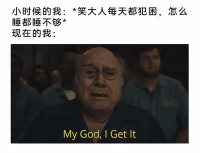 这是一张引发大众共鸣的图文梗图，上方文字描述了童年时期的视角：自己会嘲笑成年人每天都处于犯困状态，怎么睡都睡不够；下方搭配了一张美剧截图，图中角色面露震惊与恍然大悟的神情，配文“My God, I Get It”（我的天，我终于懂了），精准地呈现出长大后的自己在经历了生活与工作的压力，被消磨了精力后，终于亲身体会到当初成年人犯困的原因，这种从“不解”到“共情”的成长反差，戳中了众多步入社会的打工人的心声，用幽默的方式表达了成长过程中对生活的新认知。