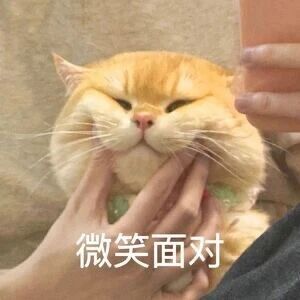 这张图是一张趣味表情包，画面主体是一只橘色猫咪，它的脸部被一双手从两侧捏住，脸部肌肉被挤得变形，双眼眯起，呈现出一种被迫“微笑”的无奈又滑稽的神态。图片下方配有白色文字“微笑面对”，猫咪的窘迫神态与文字传递的乐观态度形成强烈反差，精准表达出人们在面对生活中不顺心的事情时，只能强装乐观、无奈接受的复杂情绪，常被用于社交聊天中调侃窘境、抒发情绪。