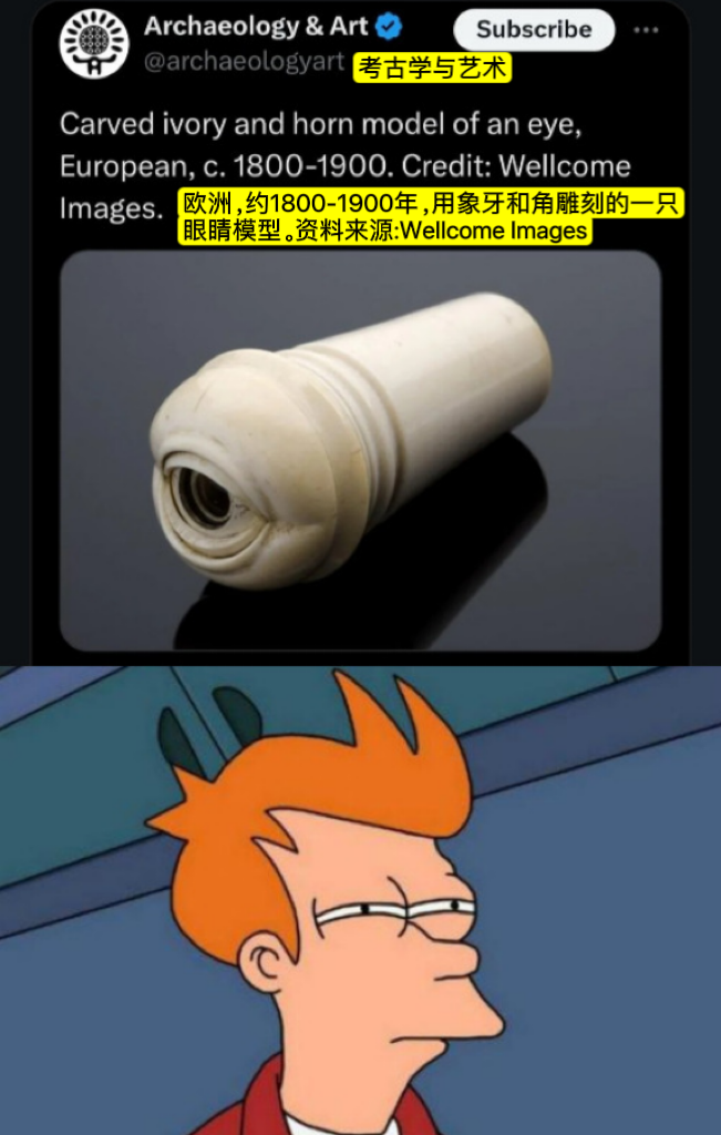 飞出个未来