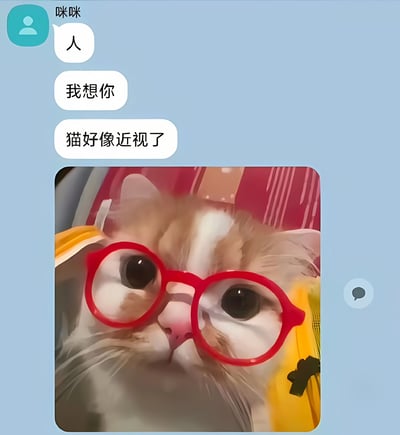 这是一张幽默的聊天界面截图，上方显示联系人"咪咪"发来的三条消息："人"、"我想你"和"猫好像近视了"。下方是一张戴着红色圆框眼镜的猫咪特写照片，猫咪有着橙白相间的毛发和大大的眼睛，表情看起来有些好奇。图片通过将猫咪戴眼镜的形象与"近视"的文字描述结合，形成了有趣的视觉呼应。