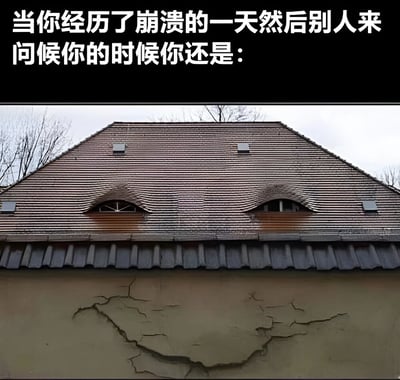 图片上半部分为黑色背景白色文字：'当你经历了崩溃的一天然后别人来问候你的时候你还是：'，下半部分是一张建筑照片。建筑的屋顶呈三角形，瓦片排列整齐，中间有两个对称的拱形窗户，窗户上方的瓦片弧度形成类似下垂眼的形状；屋顶下方的墙面有明显的裂纹，整体看起来像一张强颜欢笑的脸，形象地表达了人们在经历糟糕的一天后，面对他人问候时不得不伪装平静的状态。