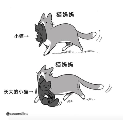 这是一张上下对比的二格漫画，展示了猫妈妈抱着小猫的有趣变化。上格中，猫妈妈轻松地叼着一只小猫咪奔跑，旁边标注"小猫→"；下格中，同样的猫妈妈费力地抱着体型已经和自己差不多大的黑猫，黑猫表情无奈，旁边标注"长大的小猫→"。通过夸张的体型变化制造幽默效果，展现了亲子关系中的温馨与搞笑瞬间。